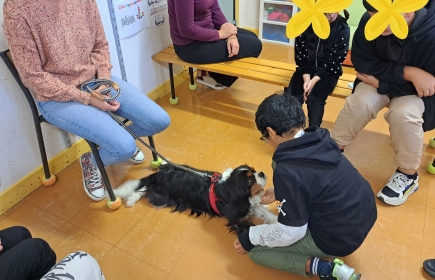 Don au dispositif ULIS de l'Ecole Elémentaire Simone Veil à Egletons pour un projet de médiation animale.